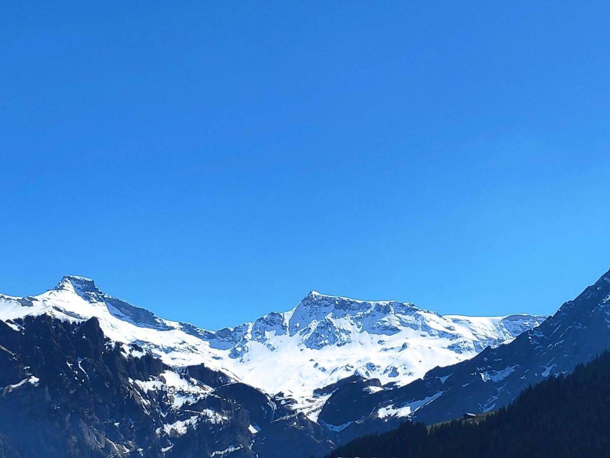 Chuenislodge2- Zwei Balkone, Gemuetlicher Kamin, Top Aussicht Adelboden Kültér fotó